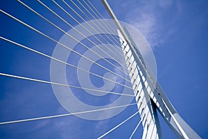 Erasmus Bridge. Details