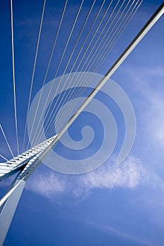 Erasmus Bridge. Details