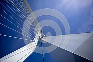 Erasmus Bridge. Details