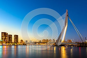 Erasmus bridge Rotterdam