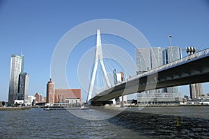Erasmusbridge rotterdam