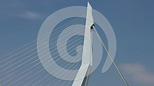 Erasmusbrug Close up