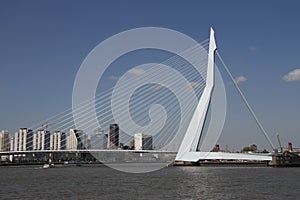 The Erasmusbrug
