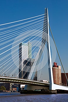Erasmusbrug over Rotte river at Rotterdam