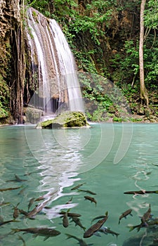 Erawan Waterfalls (Thailand)