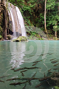 Erawan Waterfalls Thailand fairy atmosphere