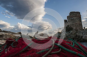 Erbalunga, Tour dâ€™Erbalunga, tower, harbour, Genoese tower, Corsica, Cap Corse, Haute Corse, Upper Corse, France, Europe, island