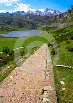 Ercina lake at Picos de Europa in Asturias Spain