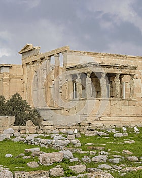 Erechtheum Temple, Athens, Greece