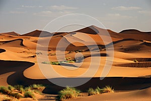 Erg Chebbi photo