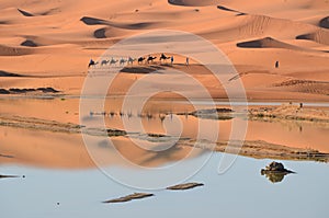 Erg Chebbi desert photo