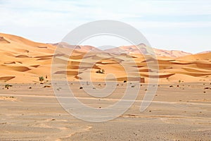 Erg Chebbi desert in Morocco