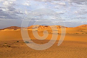 Erg Chebbi Marokko, Erg Chebbi Morocco