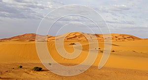 Erg Chebbi Marokko, Erg Chebbi Morocco