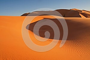 Erg Chebbi sand dunes photo