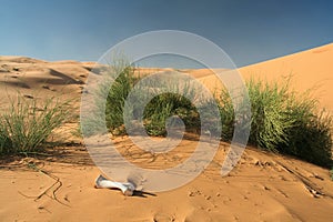 Erg Chebbi sand dunes photo