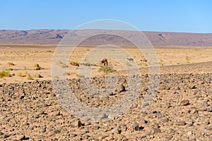 Erg Chebbiin Desert of Sahara, Marruecos photo