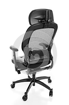 Ergonomic Office Chair Rear