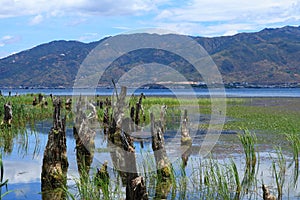 Erhai Lake photo