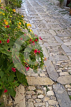 Erice street