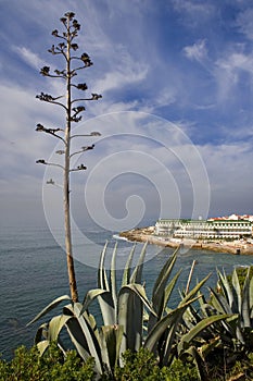 Ericeira Village photo