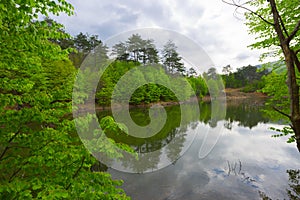 Erikli plateau, Dipsiz Lake, forest. photo