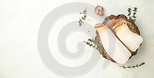 Eringi ingredients on a light background, Fresh raw mushrooms, Long banner format. top view