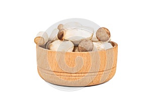 Eringi mushrooms in bowl