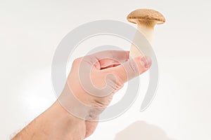 Eringi mushrooms isolated on white  background