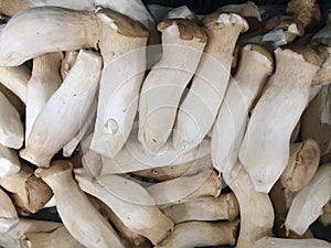 Eringi mushrooms in the market