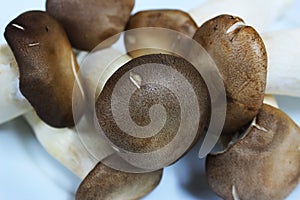 Eringi mushrooms in a white dish