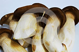 Eringi mushrooms in a white dish