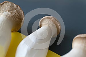 Eringi mushrooms on a yellow-gray background.