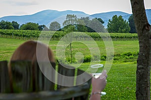 Veritas Vineyard Afton Mountain photo