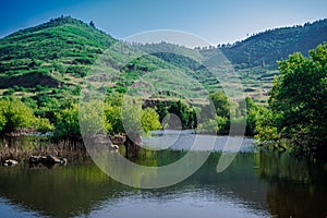 Erjos ponds wetland, Los Silos