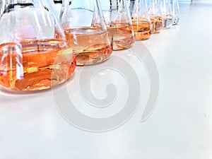 The Erlenmeyer or Conical flask on bench laboratory, with gradient solvent for analysis concentration range of total iron