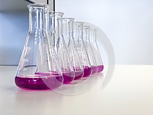 The Erlenmeyer Flask on bench laboratory, with bright pink solvent solution from titration experiment, acidity, alkalinity.