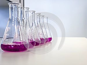 The Erlenmeyer Flask on bench laboratory, with bright pink solvent solution from titration experiment.