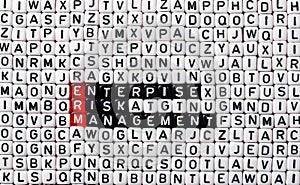 ERM Enterprise Risk Management