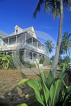 The Ernest Hemingway Home and Museum, Key West, Florida photo