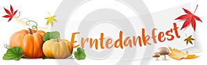 Erntedankfest Thanksgiving banner with pumpkins and foliage leaves isolated vector