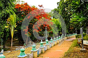 Erode park