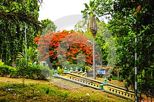 Erode park