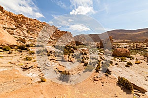 Valle de Rocas, or Stone Valley, in southern Bolivia photo
