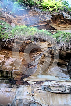 Eroded Cliff Face at Avoca Beach near the Rock Platform New South Wales Australia