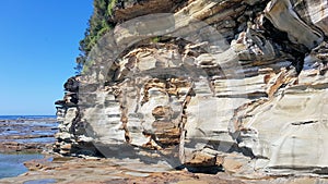 Eroded Cliff Face at Avoca Beach near the Rock Platform New South Wales Australia