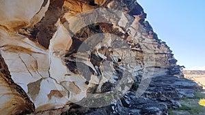 Eroded Cliff Face at Freshwater Beach