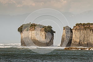 Eroded cliffs at Cape Foulwind on West Coast