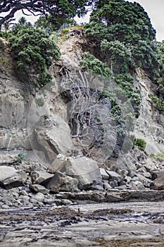 Eroded cliffs at Castor Bay, Auckland, New Zealand