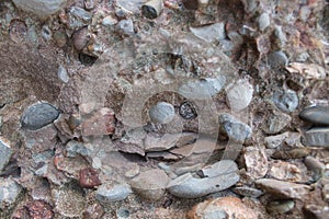 Conglomerate eroded by sea photo